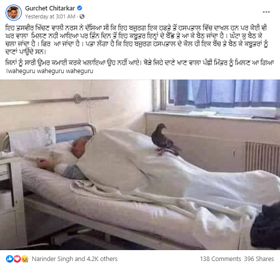 ਮੀਡੀਆ