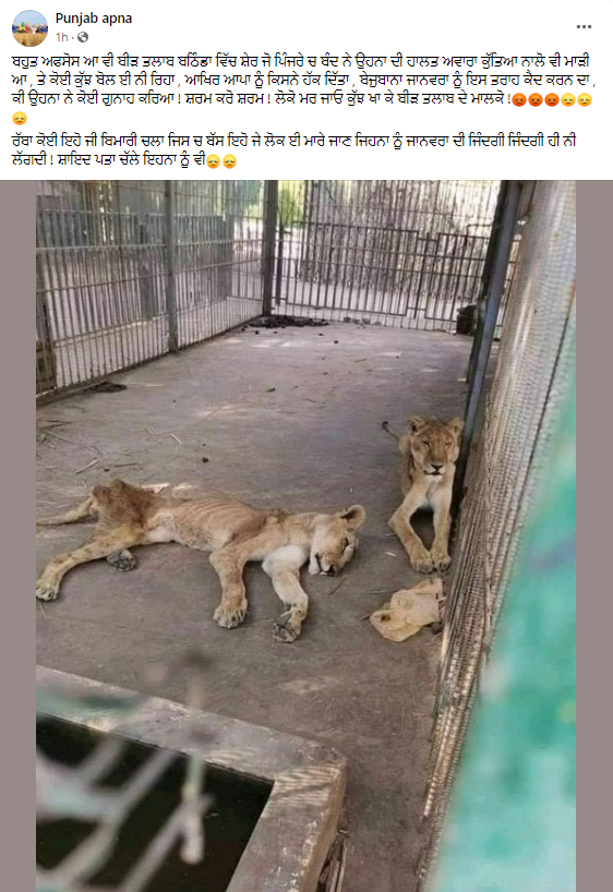 ਬਠਿੰਡਾ ਦੇ ਬੀੜ ਤਾਲਾਬ ਚਿੜੀਆਘਰ ਦੀਆਂ ਹਨ ਇਹ ਵਾਇਰਲ ਤਸਵੀਰਾਂ