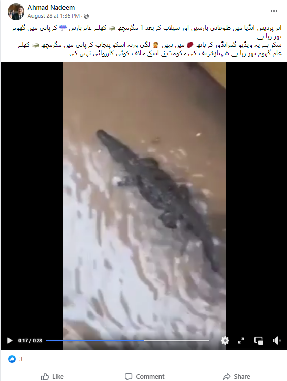 رہائشی علاقے میں مگرمچھ