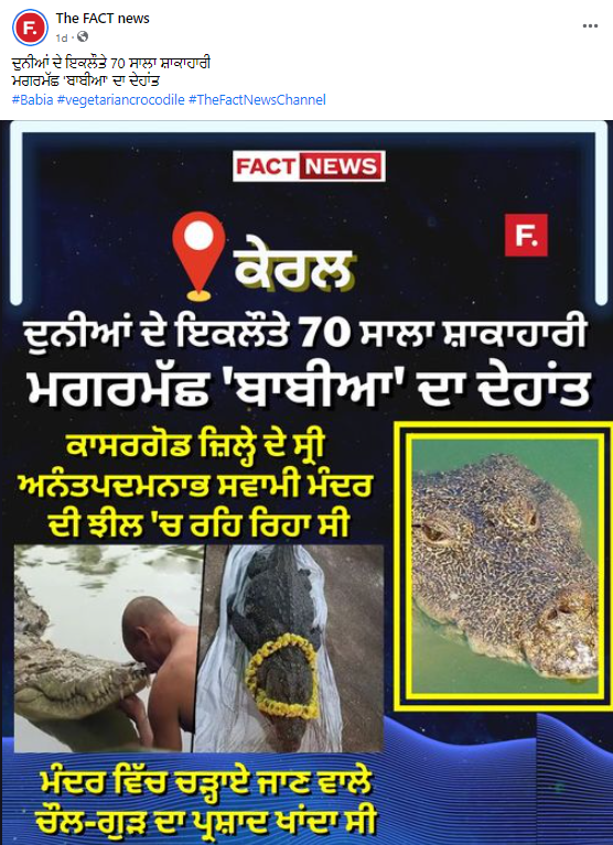 ਦਾਅਵਾ ਕੀਤਾ ਜਾ ਰਿਹਾ ਹੈ ਕਿ ਇਹ ਤਸਵੀਰ ਬਾਬੀਆ ਮਗਰਮੱਛ ਦੀ ਹੈ ਜਿਸਦੀ ਕੇਰਲ 'ਚ ਹਾਲ ਹੀ ਵਿਚ ਮੌਤ