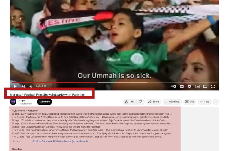Pro-Palestine Song