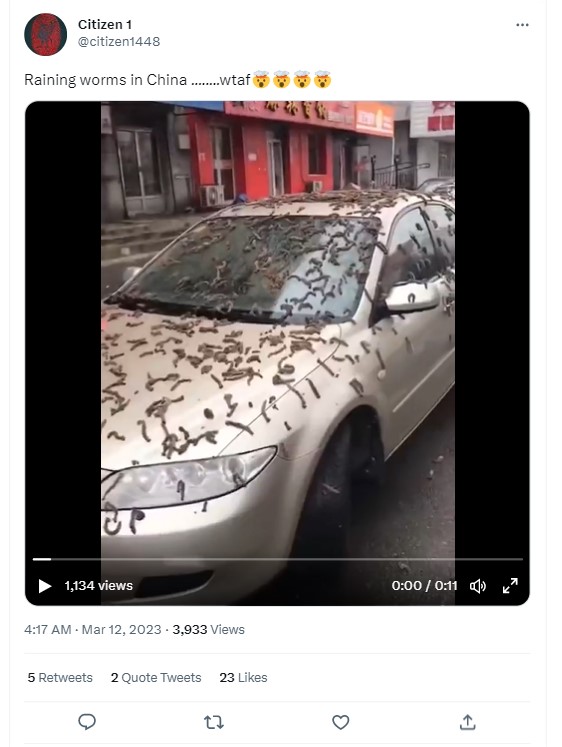 Fact Check: चीनमध्ये पडला 'अळ्यांचा पाऊस'? व्हायरल व्हिडिओमागील सत्य येथे जाणून घ्या