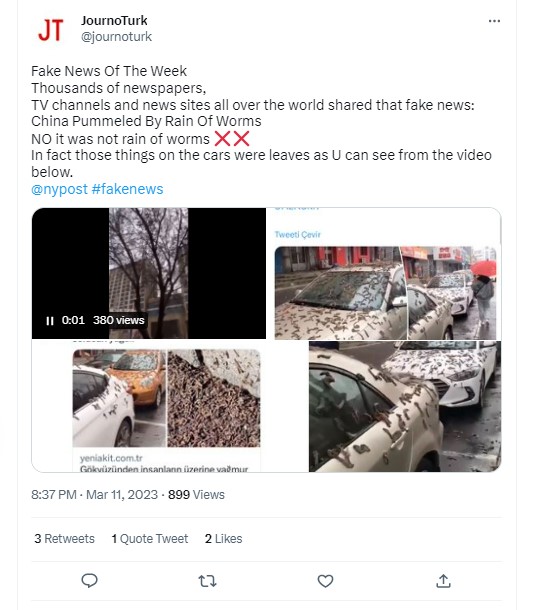 Fact Check: चीनमध्ये पडला 'अळ्यांचा पाऊस'? व्हायरल व्हिडिओमागील सत्य येथे जाणून घ्या