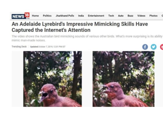 Screen grab of News 18 report