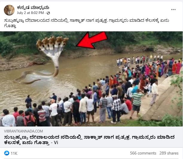ಸುಬ್ರಹ್ಮಣ್ಯ ದೇಗುಲ ಸನಿಹದ ನದಿಯಲ್ಲಿ ನಾಗ ಪ್ರತ್ಯಕ್ಷ ಎನ್ನುವುದು ನಿಜವೇ? 