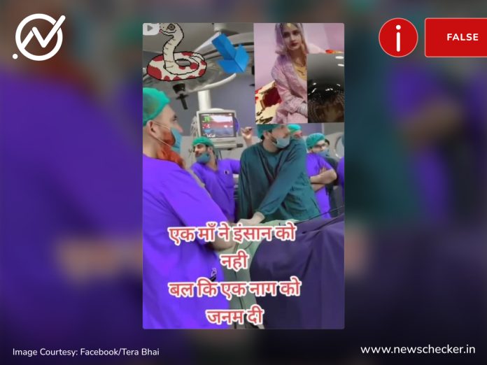 ਗਰਭਵਤੀ ਔਰਤ ਨੇ ਸੱਪ ਨੂੰ ਦਿੱਤਾ ਜਨਮ