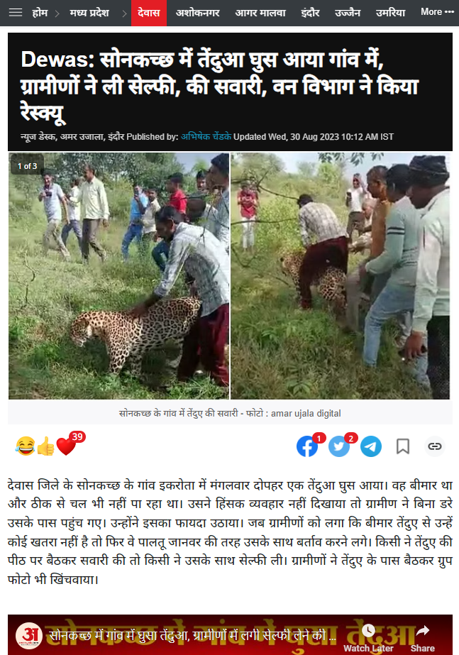 मानसिक आजाराने ग्रस्त बिबट्याचा व्हिडिओ दिशाभूल करणारा दावा करून व्हायरल