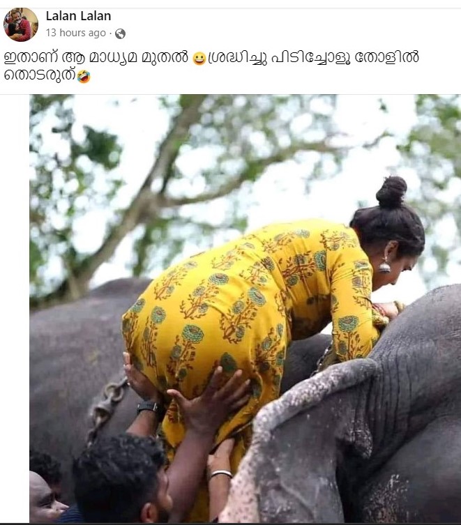 Lalan Lalan's Post