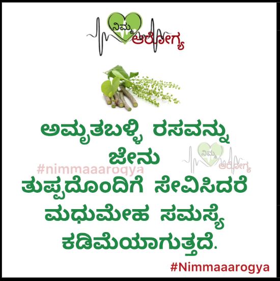 Fact Check: ಜೇನುತುಪ್ಪದೊಂದಿಗೆ ಅಮೃತಬಳ್ಳಿ ರಸವನ್ನು ಕುಡಿಯುವುದರಿಂದ ಮಧುಮೇಹ ಸಮಸ್ಯೆ ಕಡಿಮೆಯಾಗುತ್ತದೆಯೇ?