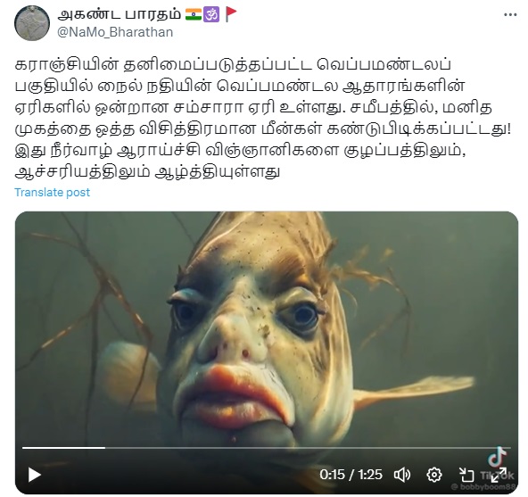 மனித முகத்துடன்