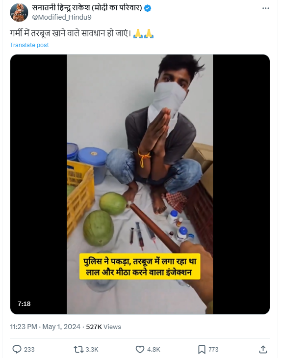 तरबूज 