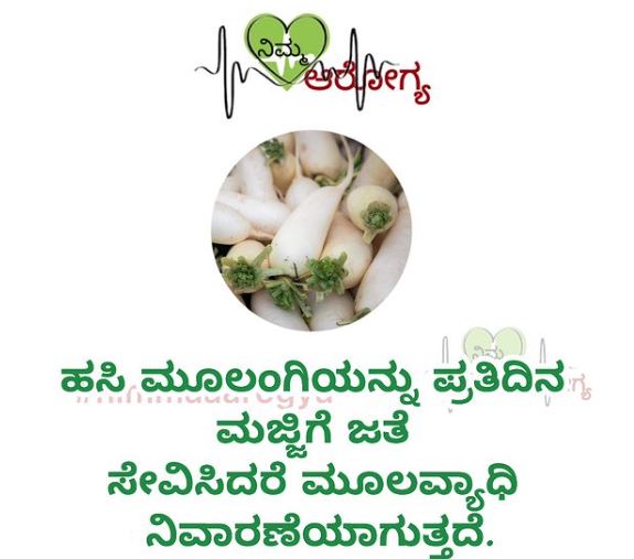 Fact Check: ಹಸಿಮೂಲಂಗಿಯನ್ನು ಮಜ್ಜಿಗೆಯೊಂದಿಗೆ ಪ್ರತಿದಿನ ಸೇವಿಸಿದರೆ ಮೂಲವ್ಯಾಧಿ ಗುಣವಾಗುತ್ತದೆ ಎನ್ನುವುದು ನಿಜವೇ?