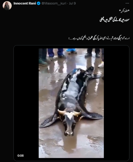 گائے کی شکل کا سمندری جانور والے اس ویڈیو کو کمپیوٹر سوفٹ ویئر کی مدد سے تیار کیا گیا ہے۔