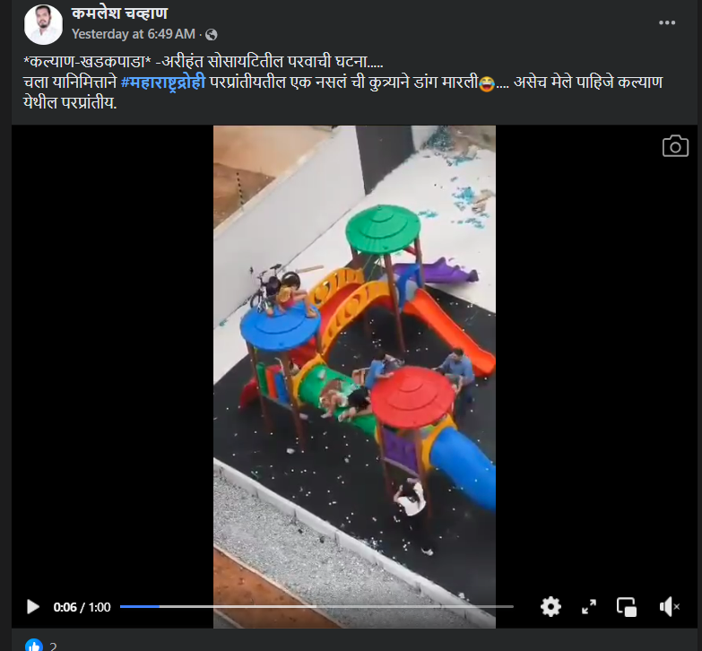फॅक्ट चेक: मोकाट कुत्र्यांच्या हल्ल्याचा व्हिडीओ कल्याणचा नसून ब्राझीलचा आहे
