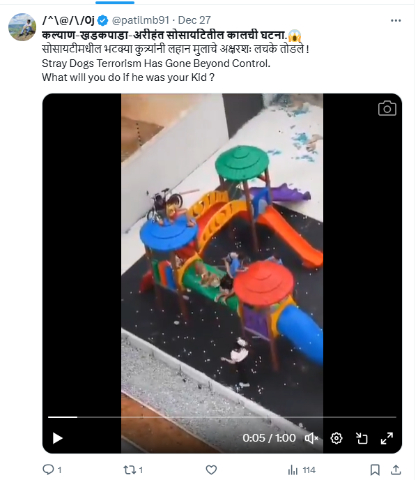 फॅक्ट चेक: मोकाट कुत्र्यांच्या हल्ल्याचा व्हिडीओ कल्याणचा नसून ब्राझीलचा आहे