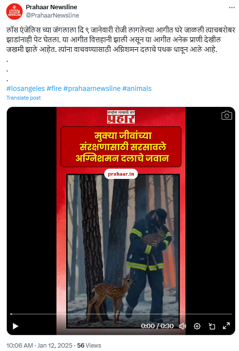 फॅक्ट चेक: अग्निशामक दलाचे जवान लॉस अँजेलिस मधील आगीतून प्राण्यांना वाचविताना असे सांगणारा व्हिडीओ AI जनरेटेड आहे 