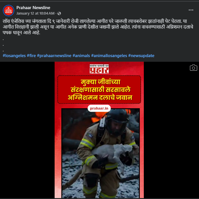 फॅक्ट चेक: अग्निशामक दलाचे जवान लॉस अँजेलिस मधील आगीतून प्राण्यांना वाचविताना असे सांगणारा व्हिडीओ AI जनरेटेड आहे 