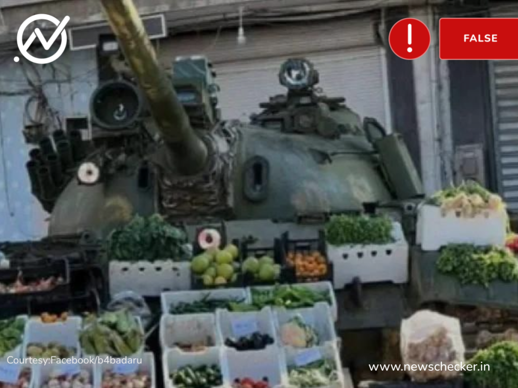 vegetable
