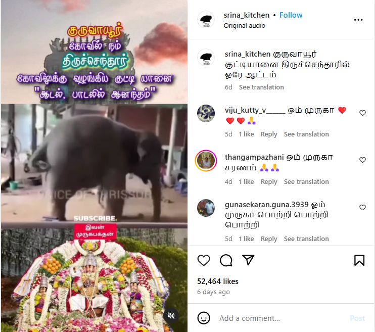 திருச்செந்தூர் முருகன் கோவிலுக்கு குருவாயூர் கோவிலிலிருந்து யானை நன்கொடையாக வழங்கப்பட்டது.