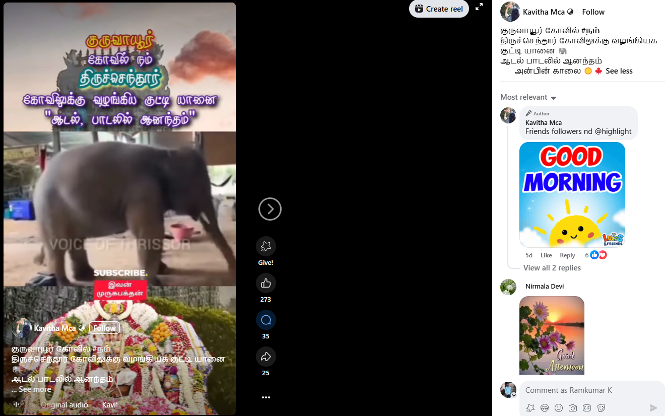 திருச்செந்தூர் முருகன் கோவிலுக்கு குருவாயூர் கோவிலிலிருந்து யானை நன்கொடையாக வழங்கப்பட்டது.