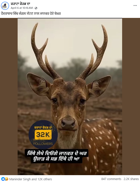 ਹੈਦਰਾਬਾਦ ਵਿੱਚ ਜਾਨਵਰ ਬੇਘਰ ਹੋ ਵਿਰਲਾਪ ਕਰ ਰਹੇ ਹਨ? ਵਾਇਰਲ ਤਸਵੀਰ AI ਜਨਰੇਟਡ ਹੈ 