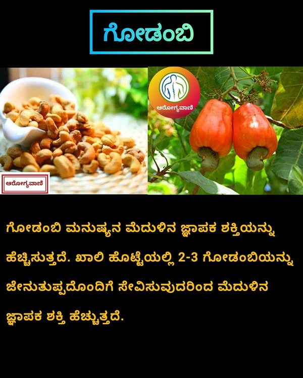 ಖಾಲಿ ಹೊಟ್ಟೆಯಲ್ಲಿ ಗೋಡಂಬಿ ಮತ್ತು ಜೇನುತುಪ್ಪ ನೆನಪಿನ ಶಕ್ತಿ ಹೆಚ್ಚಿಸುತ್ತದೆಯೇ?