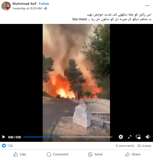 اسرائیل کے جنگلات میں لگی آگ کا منظر۔