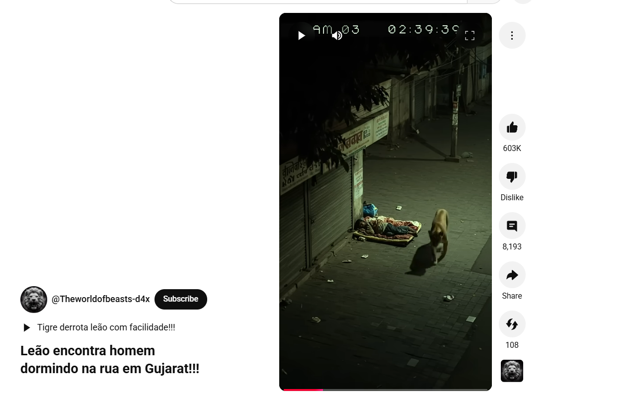 रस्त्यात झोपलेल्या माणसाकडे दुर्लक्ष करून पुढे जाणाऱ्या सिंहाचा व्हायरल व्हिडिओ एआय निर्मित आहे