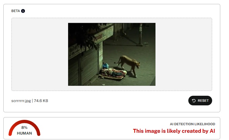 रस्त्यात झोपलेल्या माणसाकडे दुर्लक्ष करून पुढे जाणाऱ्या सिंहाचा व्हायरल व्हिडिओ एआय निर्मित आहे