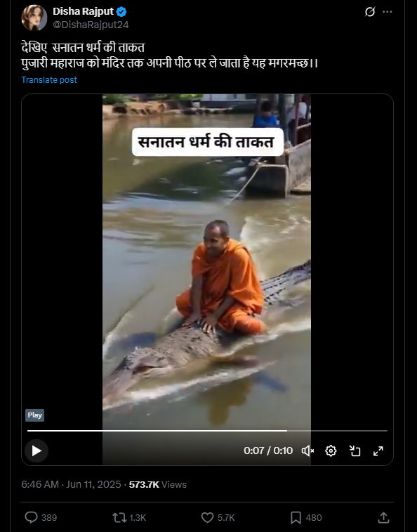 मगरीच्या पाठीवर बसलेल्या पुजाऱ्याचा हा व्हिडिओ एआय निर्मित आहे