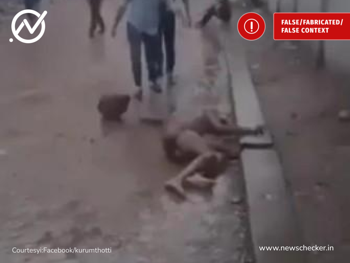 murder