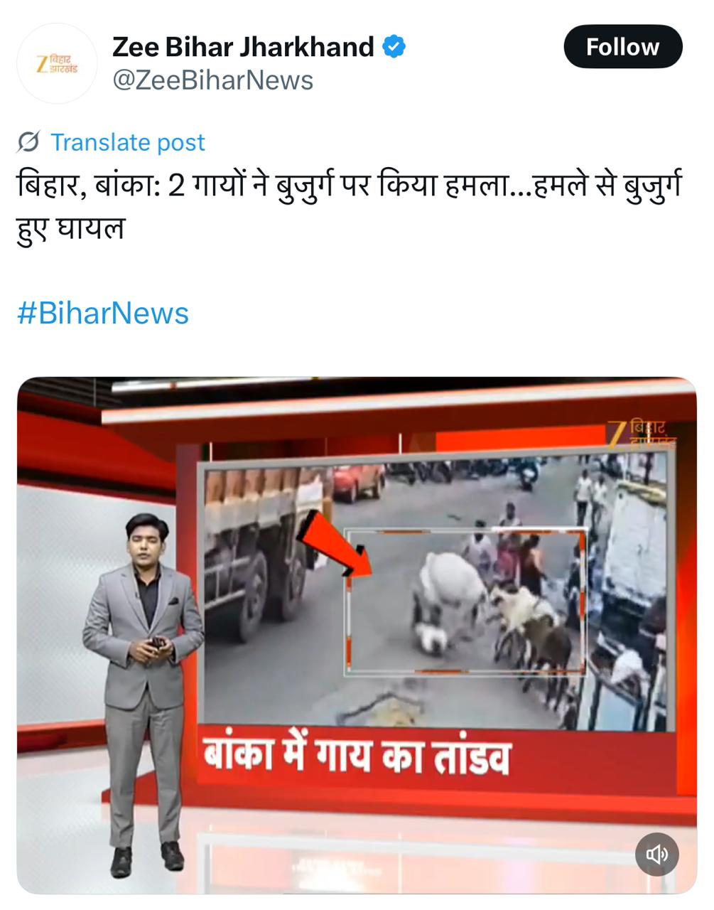 महाराष्ट्रात गायींनी वृद्धावर हल्ला केल्याचा व्हिडिओ बिहारचा म्हणून व्हायरल