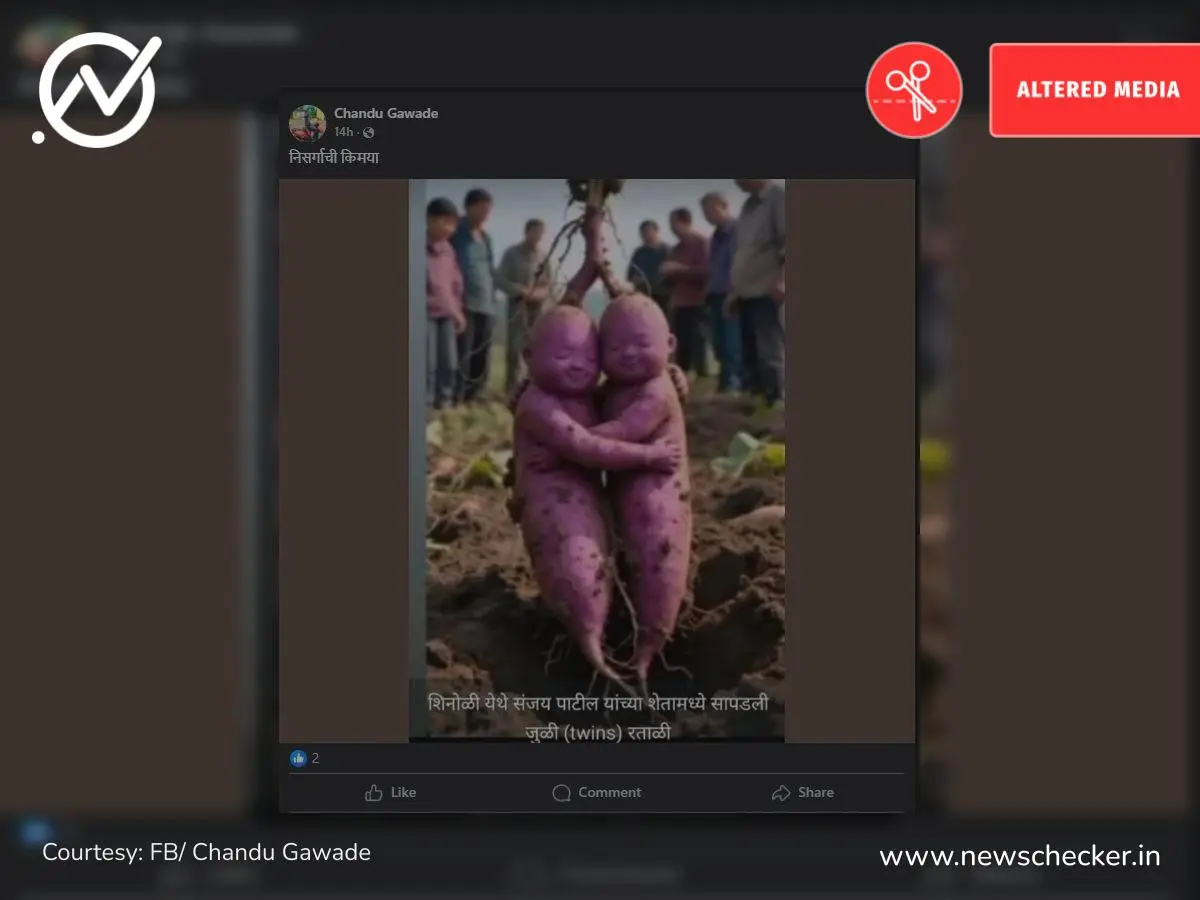 Weekly Wrap: स्टेट बँकेची फ्लोटिंग बँक, गेटवे ऑफ इंडिया पाण्याखाली ते जुळी रताळी पर्यंतच्या दाव्यांचे फॅक्ट चेक