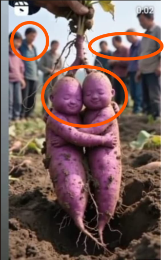 शेतात सापडली जुळी रताळी असे सांगत व्हायरल फोटो AI जनरेटेड आहे