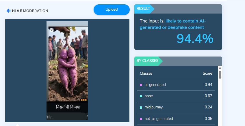 शेतात सापडली जुळी रताळी असे सांगत व्हायरल फोटो AI जनरेटेड आहे