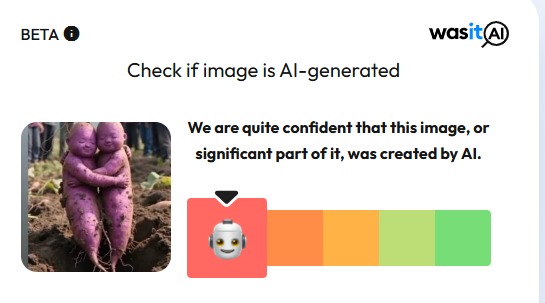 शेतात सापडली जुळी रताळी असे सांगत व्हायरल फोटो AI जनरेटेड आहे