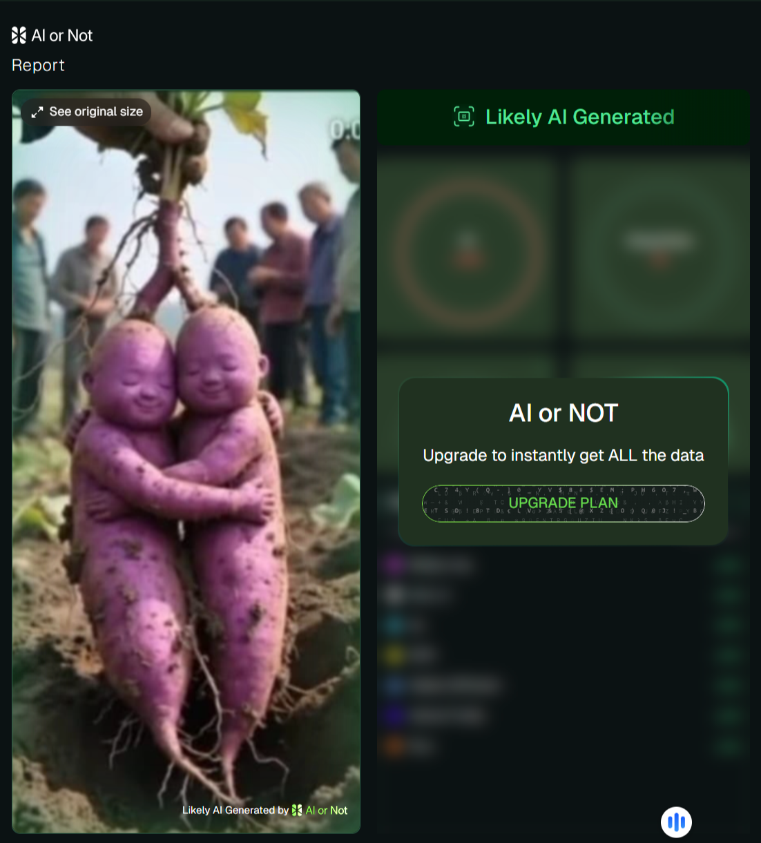 शेतात सापडली जुळी रताळी असे सांगत व्हायरल फोटो AI जनरेटेड आहे