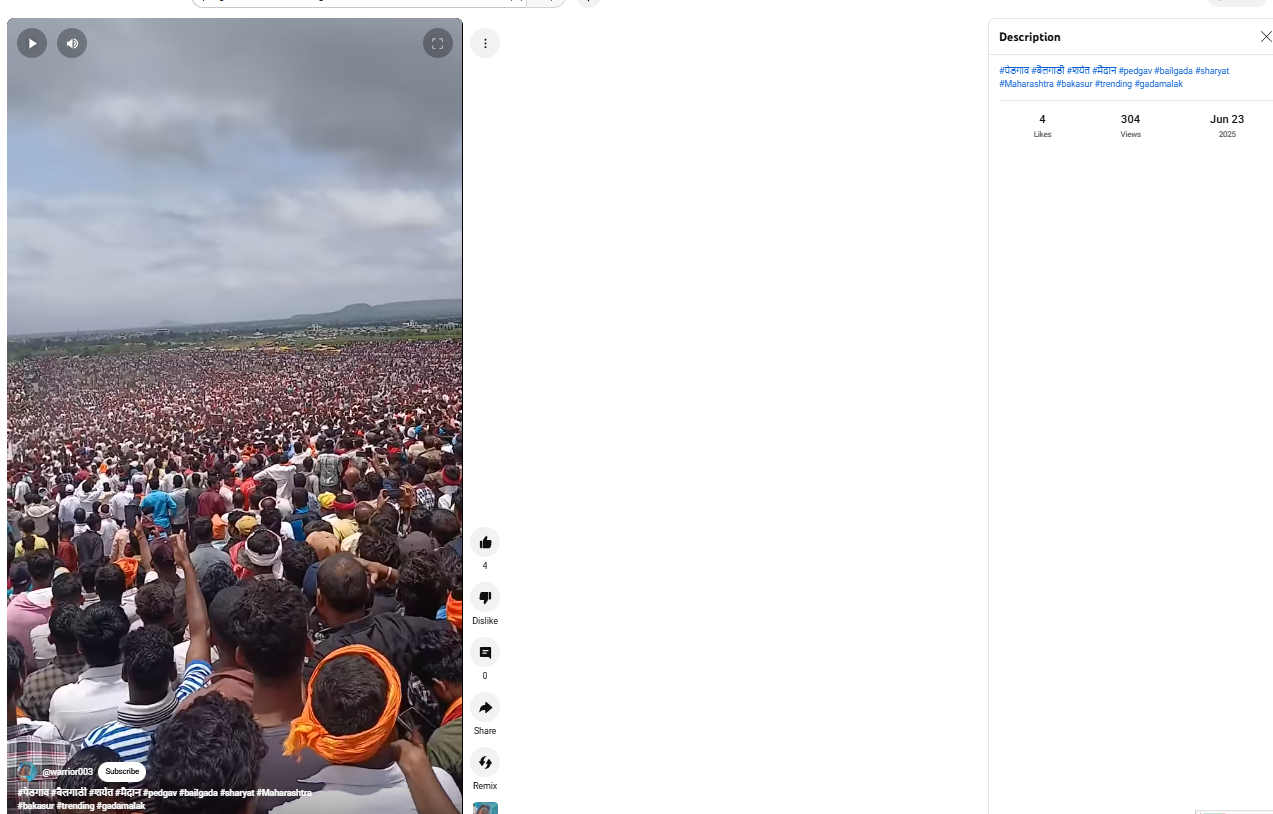 सातारा येथे झालेल्या बैलगाडा शर्यतीचा व्हिडिओ राहुल गांधींच्या बिहारमधील मतदार हक्क यात्रेचा असे सांगत व्हायरल