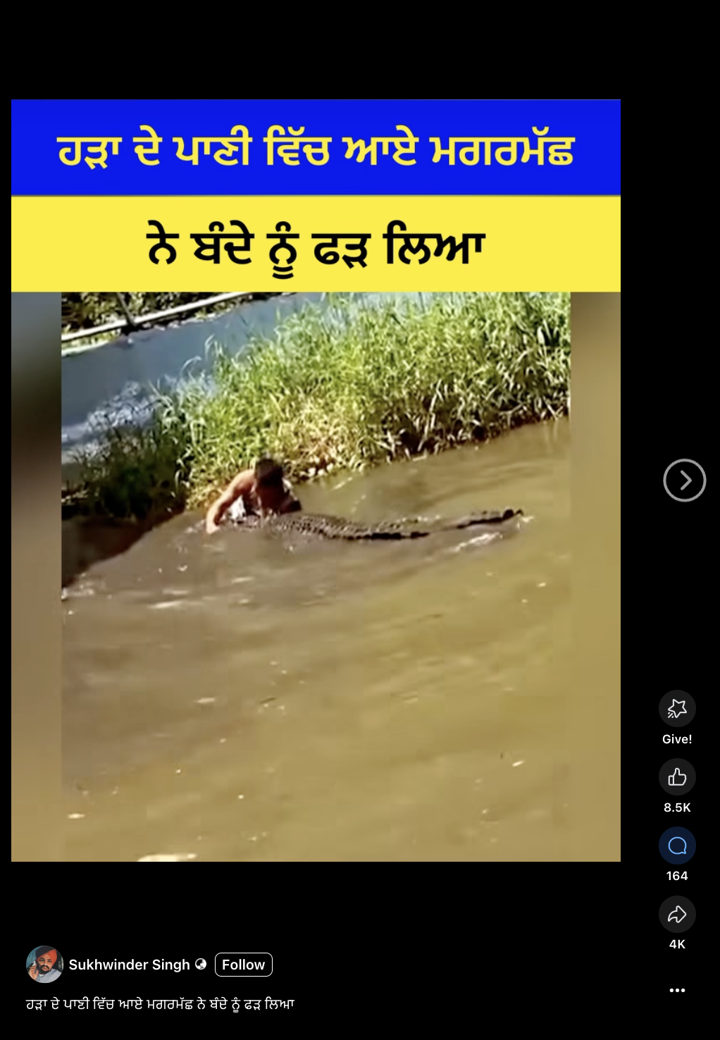 ਹੜਾ ਦੇ ਪਾਣੀ ਵਿੱਚ ਆਏ ਮਗਰਮੱਛ ਨੇ ਵਿਅਕਤੀ ਨੂੰ ਫੜ ਲਿਆ? ਗੁੰਮਰਾਹਕੁੰਨ ਦਾਅਵਾ ਵਾਇਰਲ 