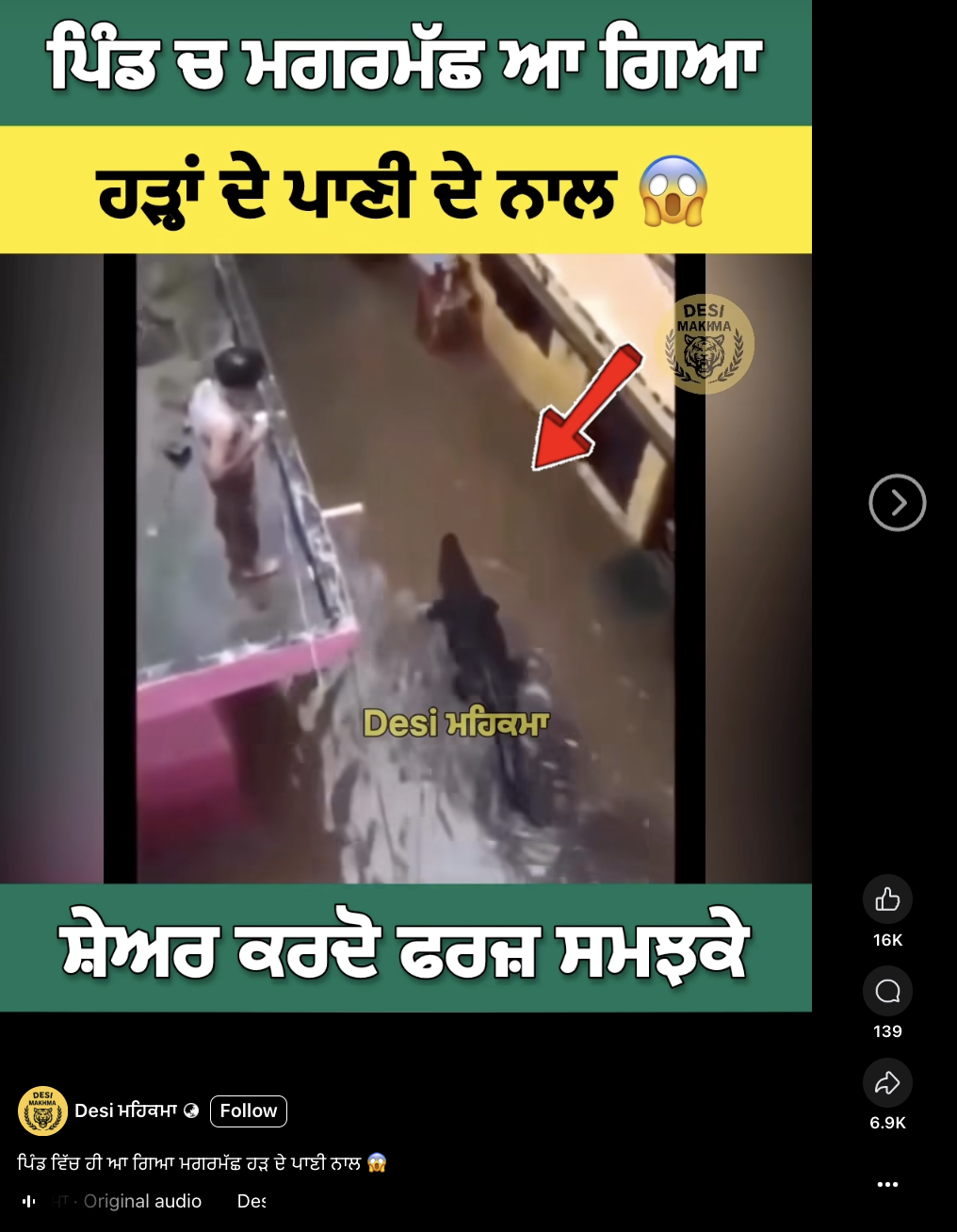 ਹੜ੍ਹਾਂ ਦੇ ਪਾਣੀ ਦੇ ਨਾਲ ਪਿੰਡ ਵਿੱਚ ਮਗਰਮੱਛ ਆ ਗਿਆ