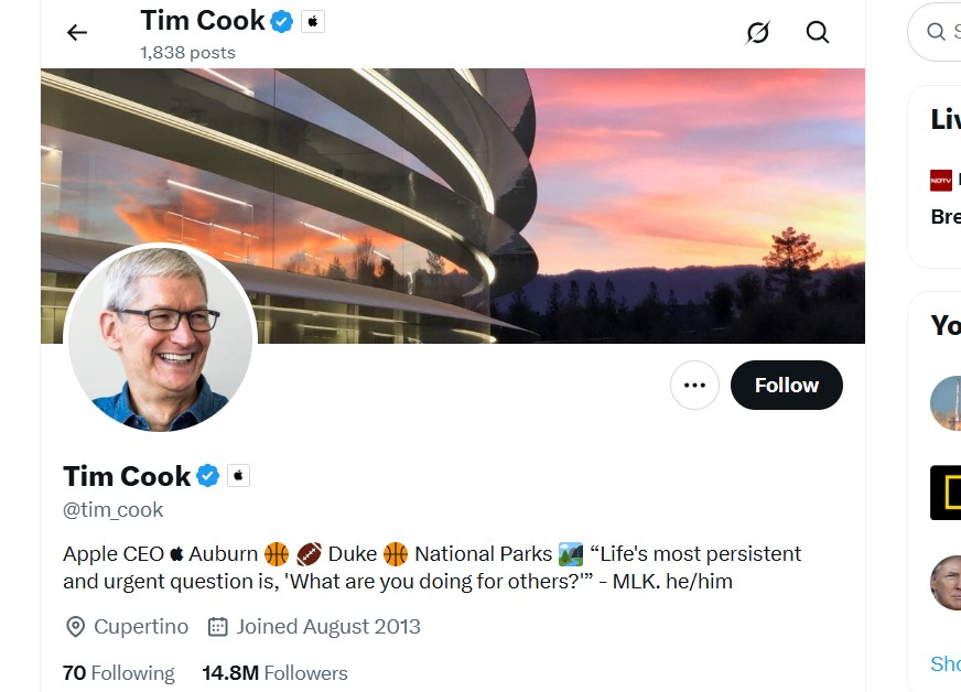 tim cook