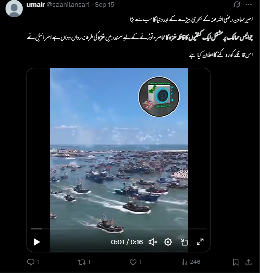 وائرل ویڈیو غزہ کا محاصرہ توڑنے کے لئے روانہ ہوئے بحری جہاز کے قافلے کی ہے