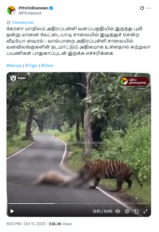 அதிரப்பள்ளி வனப்பகுதியில் புலி மானை வேட்டையாடி இழுத்து சென்றதாக பரவும் வீடியோ.