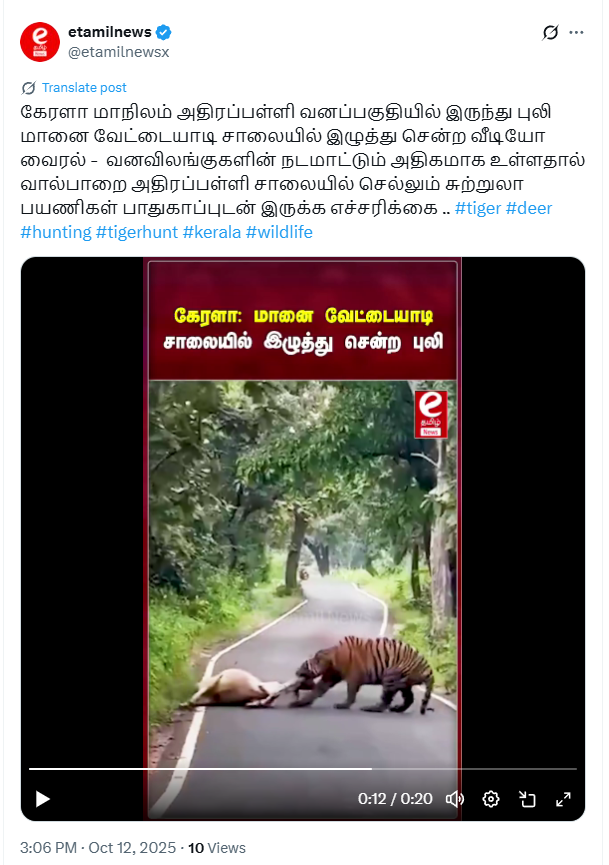 அதிரப்பள்ளி வனப்பகுதியில் புலி மானை வேட்டையாடி இழுத்து சென்றதாக பரவும் வீடியோ.