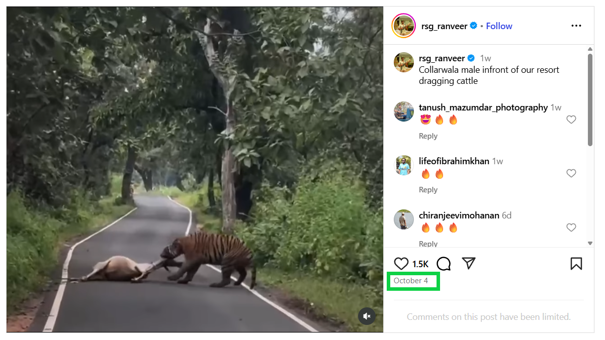 அதிரப்பள்ளி வனப்பகுதியில் புலி மானை வேட்டையாடி இழுத்து சென்றதாக பரவும் வீடியோ.