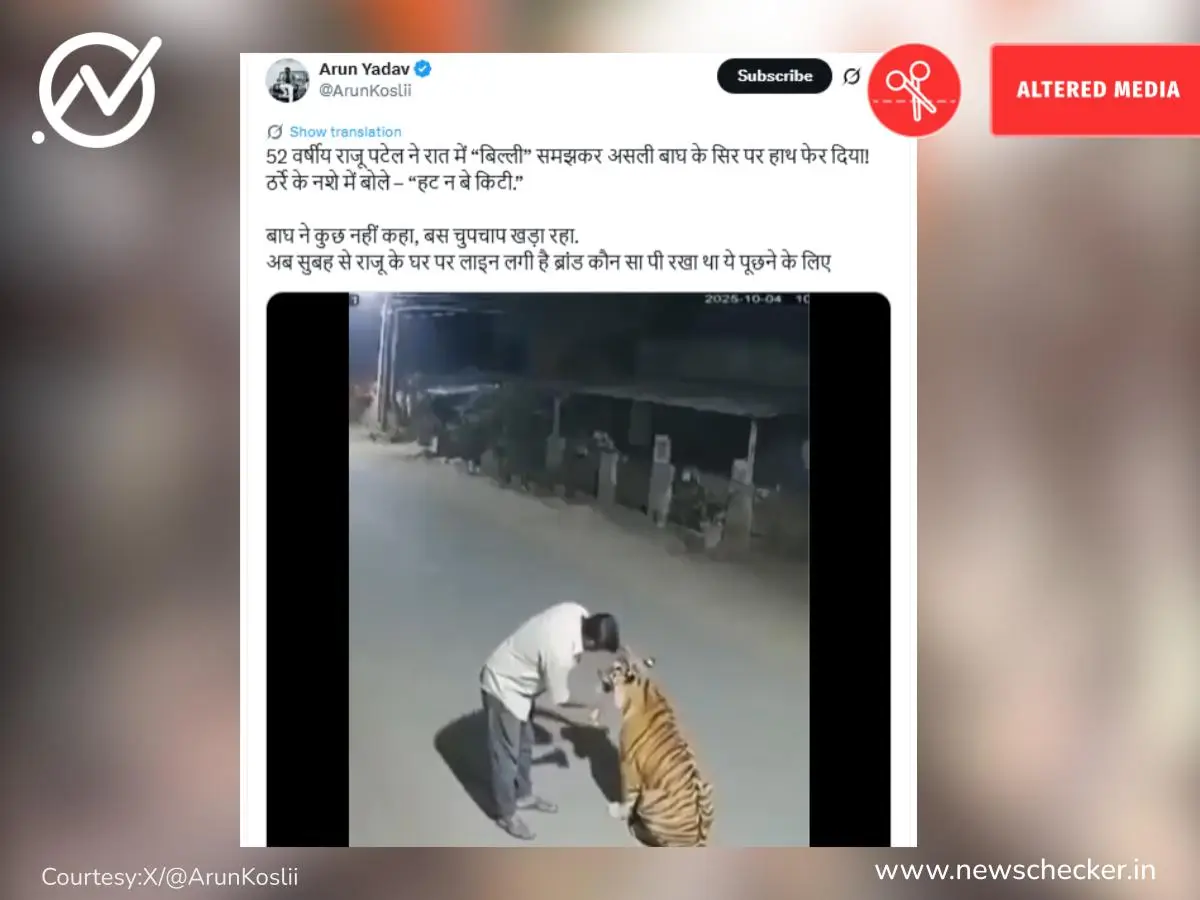 Weekly Wrap: सलमान खान दहशतवादी घोषित ते नशेत वाघाच्या डोक्यावर फिरवला हात पर्यंतच्या दाव्यांचे फॅक्ट चेक