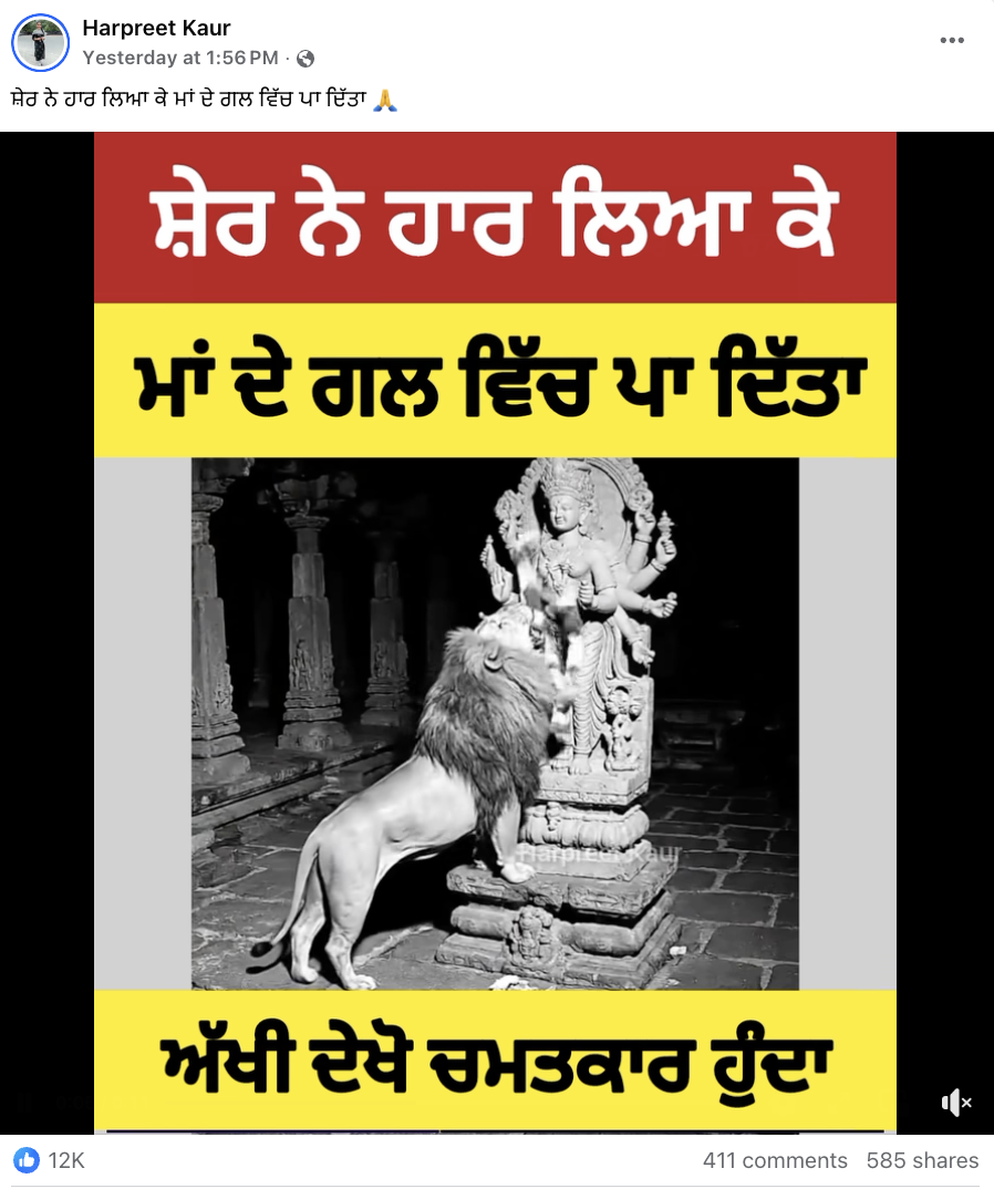 ਸ਼ੇਰ ਨੇ ਮਾਤਾ ਰਾਣੀ ਦੀ ਮੂਰਤੀ ਦੇ ਗਲੇ ਵਿੱਚ ਹਾਰ ਪਾ ਦਿੱਤਾ?