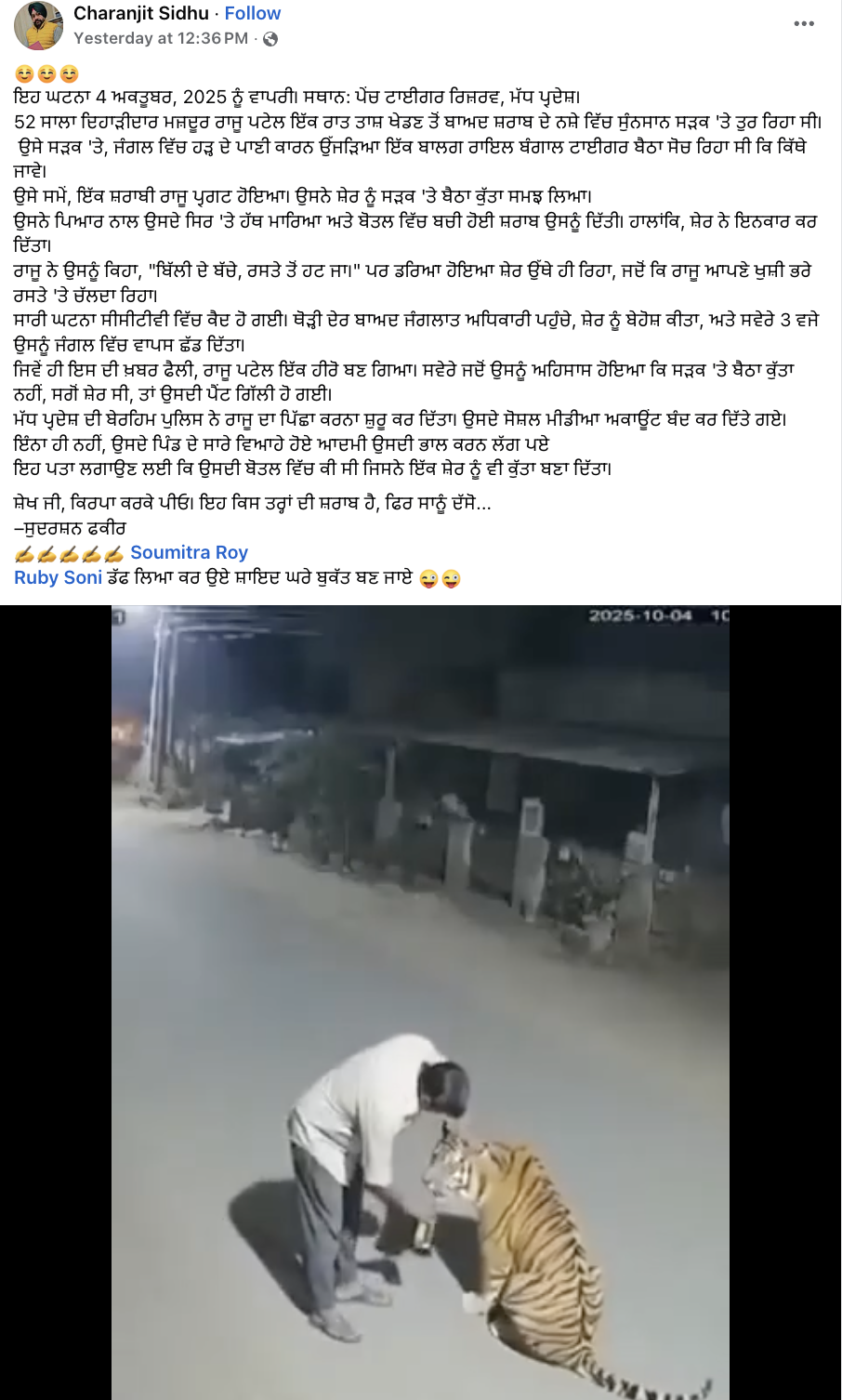 ਸ਼ਰਾਬ ਦੇ ਨਸ਼ੇ ਵਿੱਚ ਸ਼ੇਰ ਦਾ ਸਿਰ ਸਹਿਲਾ ਰਹੇ ਵਿਅਕਤੀ ਦਾ ਇਹ ਵੀਡੀਓ AI ਜਨਰੇਟਡ ਹੈ