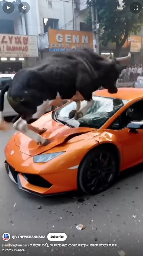 ಫೆರಾರಿ ಕಾರಿನ ಮೇಲೆ ಹಾರಿದ ಗೂಳಿ, ವೈರಲ್ ವೀಡಿಯೋ ಎಐ ಸೃಷ್ಟಿ!