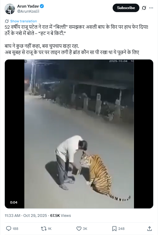 दारूच्या नशेत वाघाच्या डोक्यावर हात फिरवणाऱ्या व्यक्तीचा व्हिडिओ AI जेनरेटेड आहे